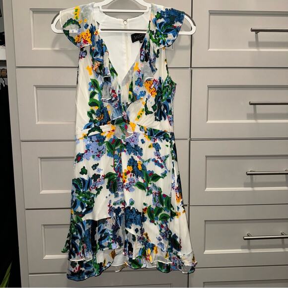 Saloni Cece Ruffle Floral Mini Dress CREAM BEGONIA 6 - Picture 5 of 12